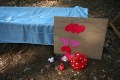 
FinnFoto_293301